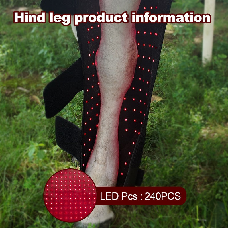 Red Light Therapy Thigh Boots  Hock Wraps for Horses