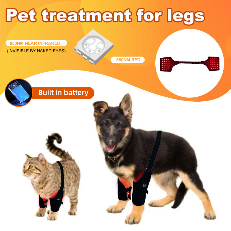 PbmEquine Red LED Light Therapy for Dog Leg(2 PCS)