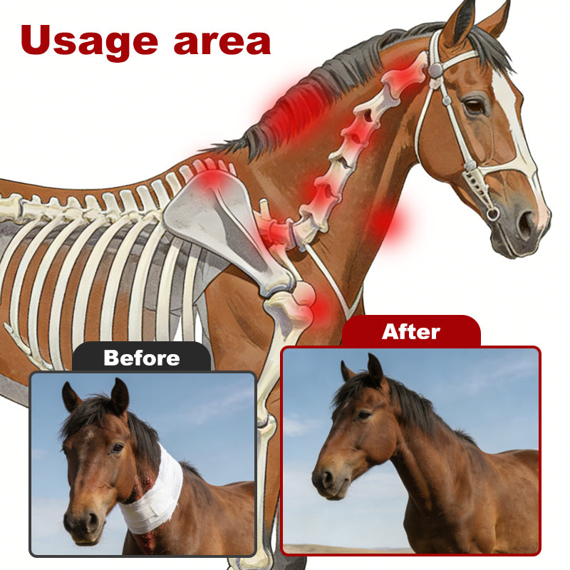 LED Infrared Red Light Therapy for Equine Neck