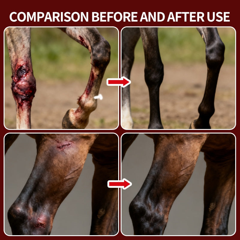 Red Light Therapy Thigh Boots  Hock Wraps for Horses