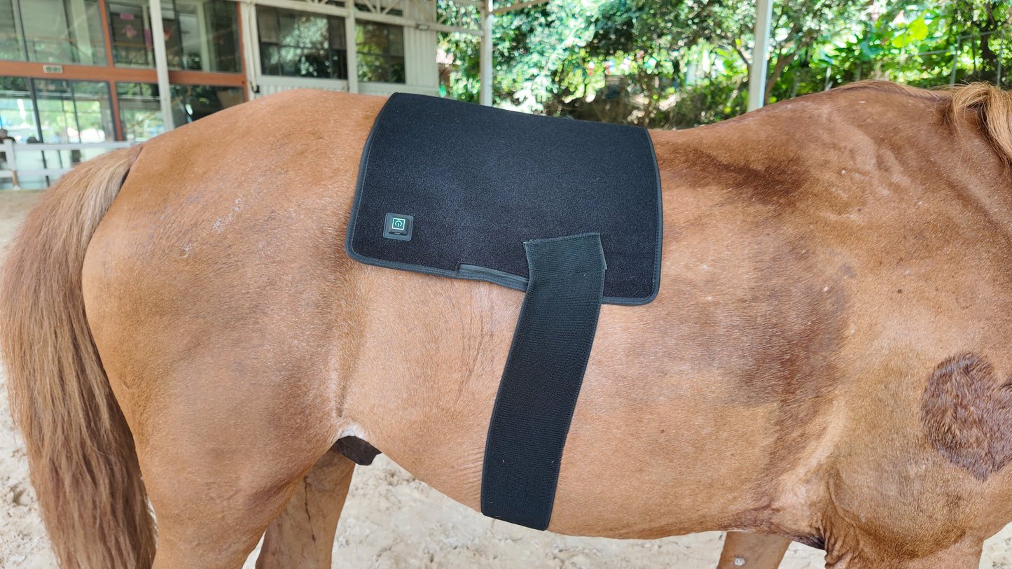 Red Light Therapy Pad for Horses' Back--pbmequine