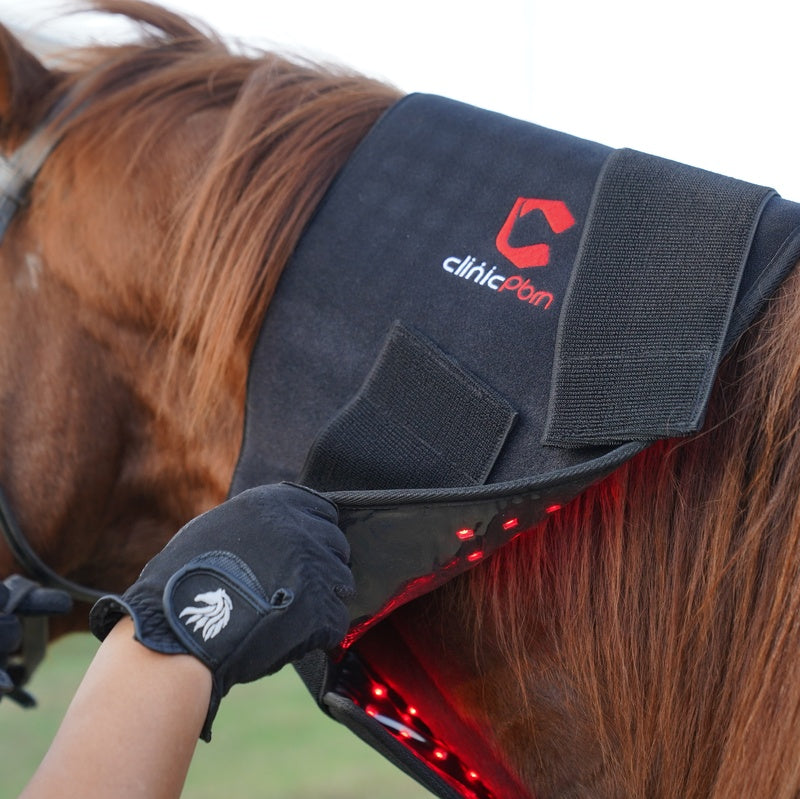 PbmEquine Red Light Therapy Horse Wrap Blanket(Large Size)