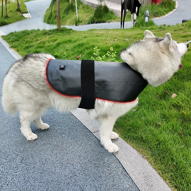 ClinicPBM Dog Cat Red Light Therapy Coat - Size S M L