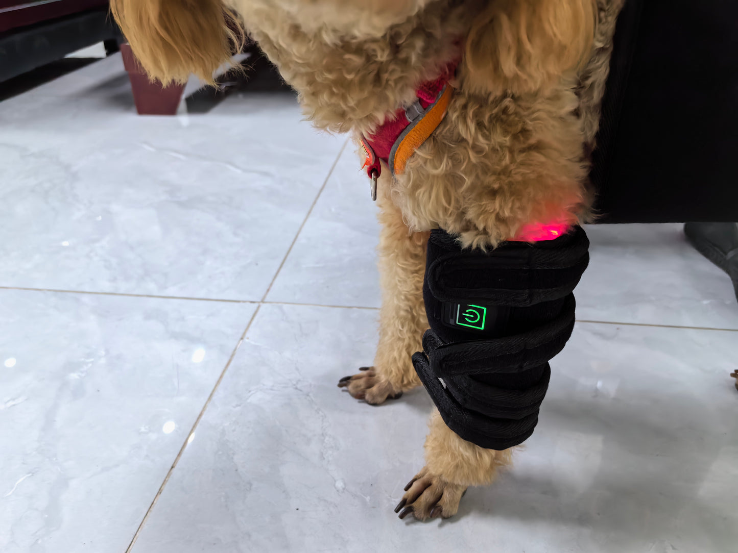 ClinicPBM Dog Leg Red Light Therapy Mat (Built-in Battery)