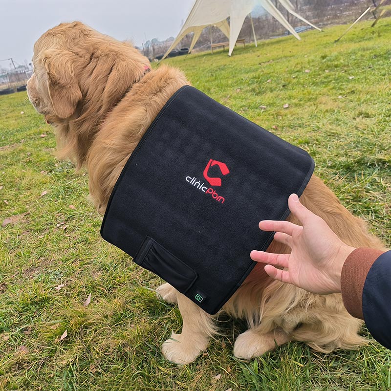 PbmEquine Dog Red Light Therapy Back/Abdomen Wrap
