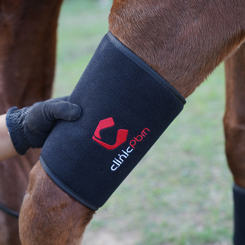 PbmEquine Red Light Therapy Leg & Neck Wrap for Horses