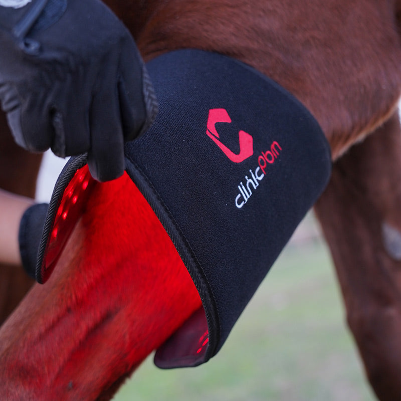 PbmEquine Red Light Therapy Leg & Neck Wrap for Horses