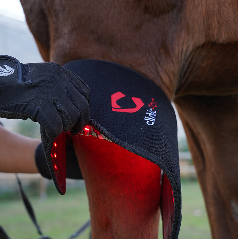 PbmEquine Red Light Therapy Leg & Neck Wrap for Horses