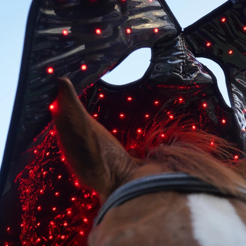 Opened PbmEquine Poll Cap and Neck wrap above a horse’s head showing the ear opening and illuminated red LED lining.