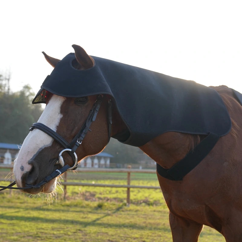 Opposite side view of a horse wearing the large PbmEquine Poll Cap and Neck wrap with its broad fastening band under the neck.