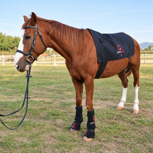 Complete Red Light Therapy Recovery System for Horses — Back Pad + 2 Leg Boots + 2 Hoof Boots