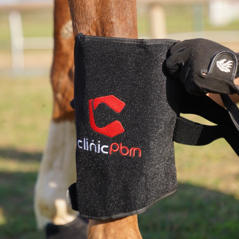 Close-up of a black PbmEquine leg boot around a horse’s lower leg while a gloved hand adjusts the hook-and-loop closure.