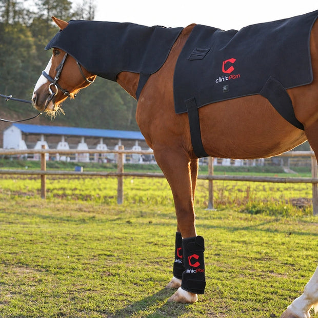 Complete Red Light Therapy Topline & Leg Recovery System for Horses — Poll & Neck + Back Pad + 2 Leg Boots