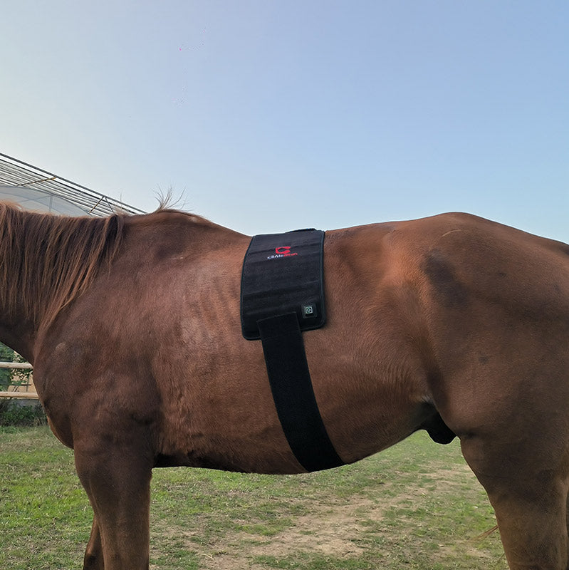 Red Light Therapy Wrap for Equine Back Abdomen Neck