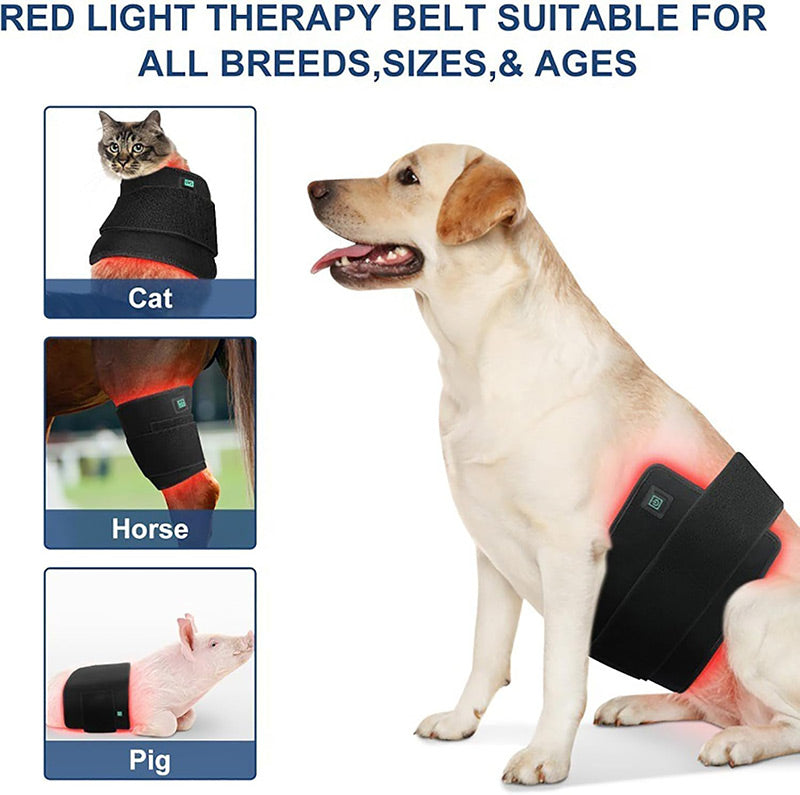 PbmEquine Dog Red Light Therapy Back/Abdomen Wrap