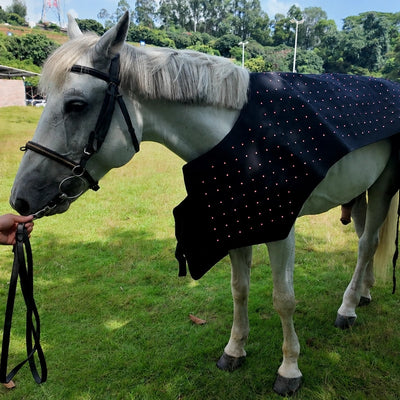 Gray horse wearing the Advanced Full-Body Equine Red Light Therapy Blanket outdoors, red LED lights visible across the neck and body