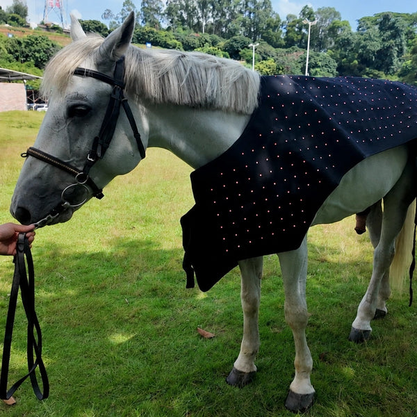 Gray horse wearing the Advanced Full-Body Equine Red Light Therapy Blanket outdoors, red LED lights visible across the neck and body