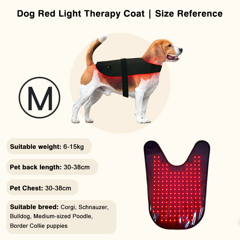 PbmEquine Red Light Therapy Coat for Dog & Cat
