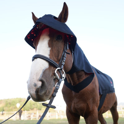 Complete Equine Red Light Therapy Bundle — Poll Cap, Back Pad & Leg Boots
