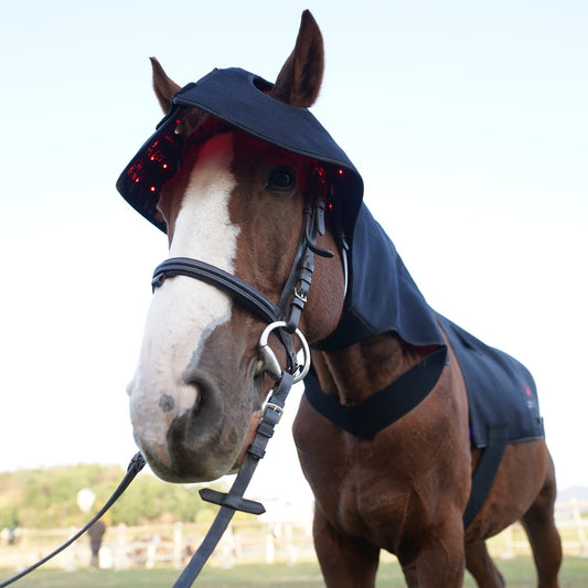 Complete Equine Red Light Therapy Bundle — Poll Cap, Back Pad & Leg Boots