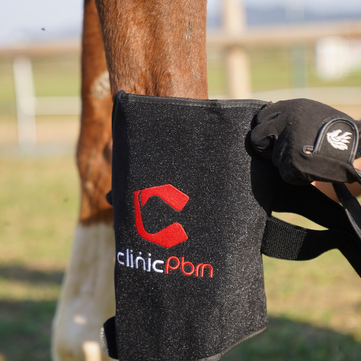 Complete Equine Red Light Therapy Bundle — Poll Cap, Back Pad & Leg Boots