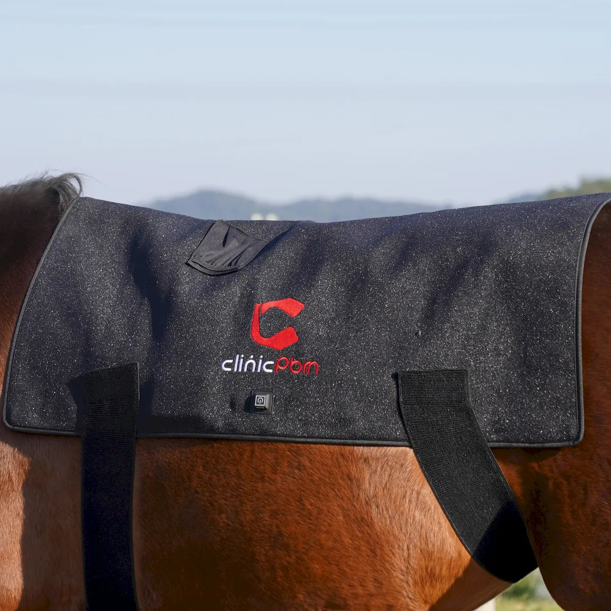 Red Light Therapy Back Pad for Horses - ClinicPBM