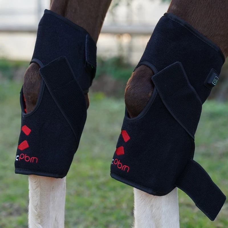 PbmEquine equine hock wraps on a horse showing the adjustable Velcro straps and one-touch power button