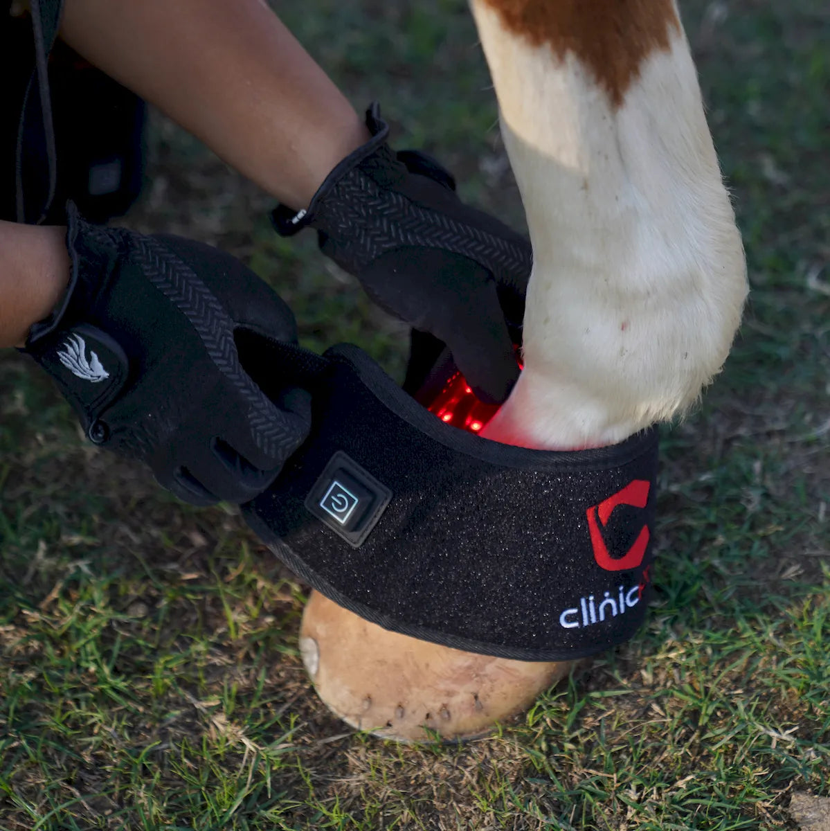 Red Light Therapy Hoof Boots for Horses â€“ ClinicPBM