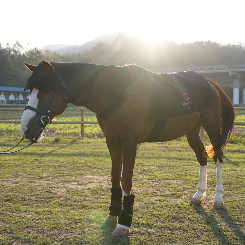 A horse wearing PbmEquine red light therapy gear — a full-body therapy blanket and leg boots — standing in a paddock at sunset