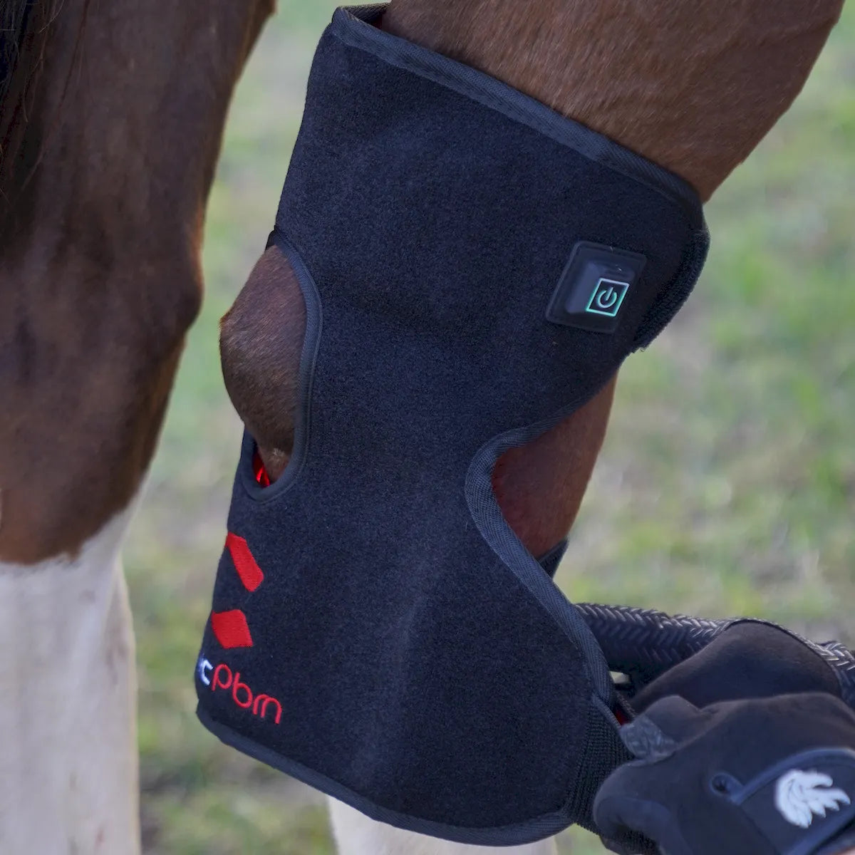Red Light Therapy Hock Wraps for Horses â€“ ClinicPBM