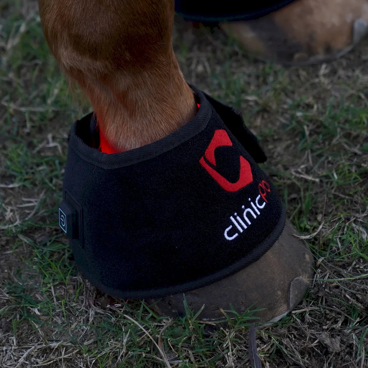 Red Light Therapy Hoof Boots for Horses â€“ ClinicPBM