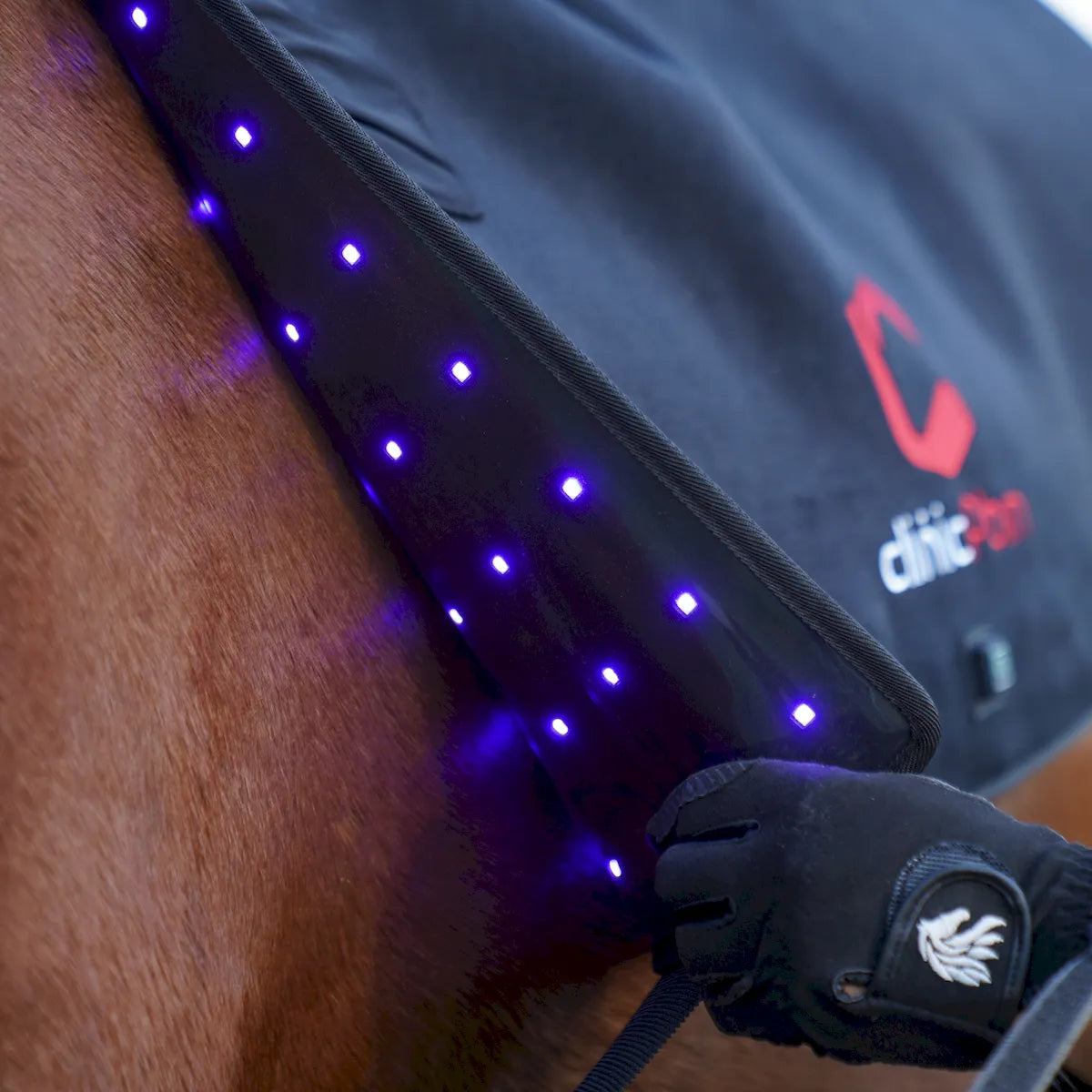 Red Light Therapy Back Pad for Horses - ClinicPBM