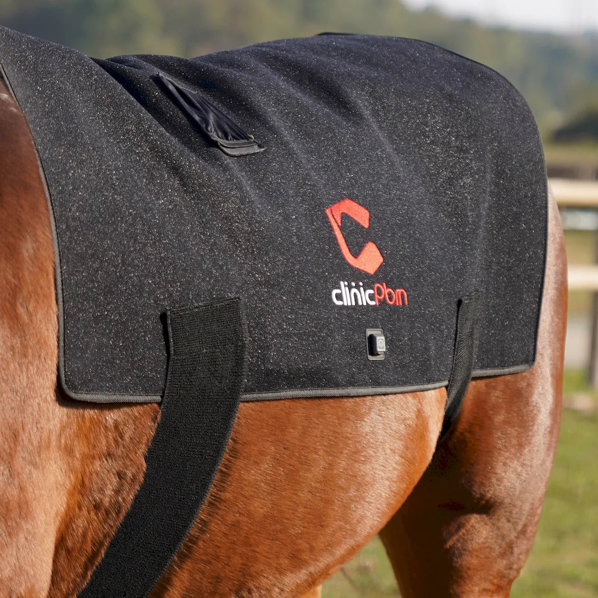 Red Light Therapy Back Pad for Horses - ClinicPBM