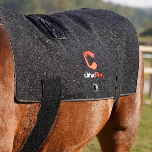 Red Light Therapy Back Pad for Horses - ClinicPBM