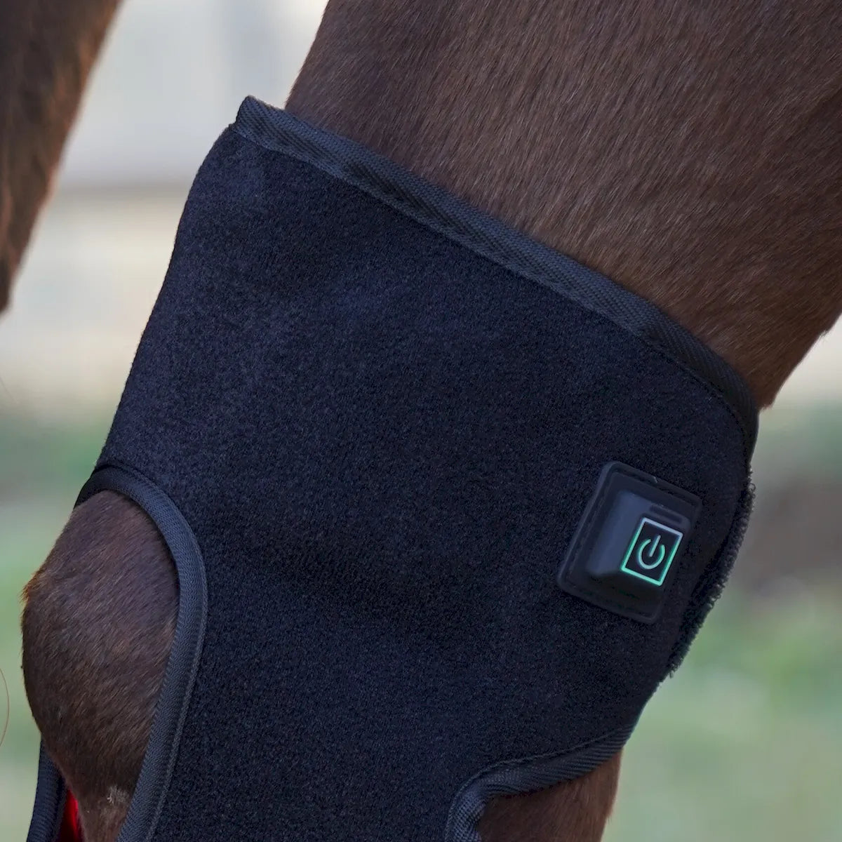 Red Light Therapy Hock Wraps for Horses â€“ ClinicPBM