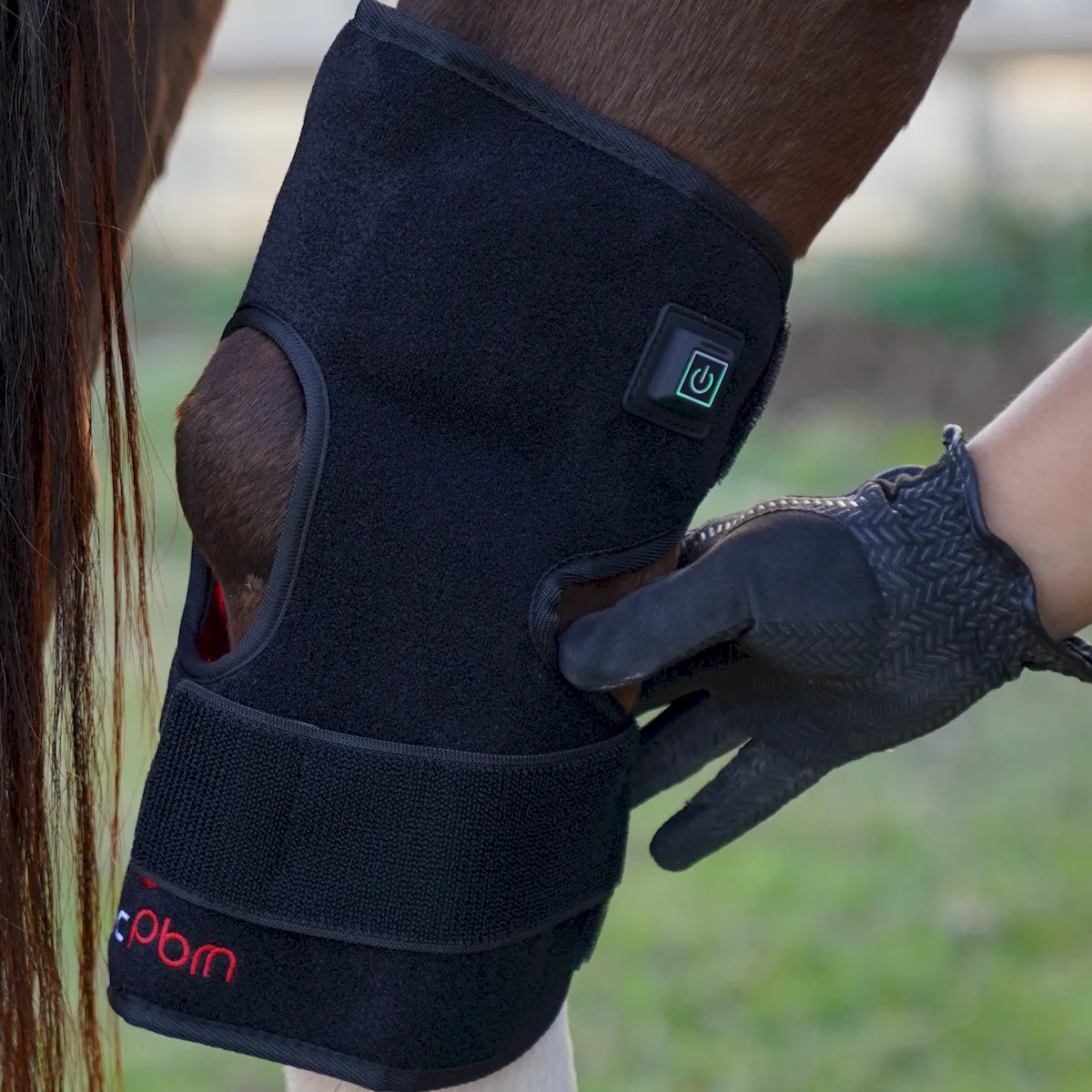 Red Light Therapy Hock Wraps for Horses â€“ ClinicPBM