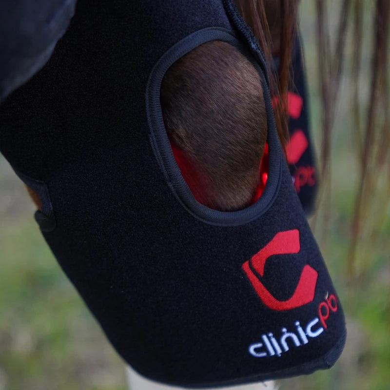 Close-up of a PbmEquine red light therapy hock wrap on a horse's hind leg, with 660nm red light glowing through the hock joint opening