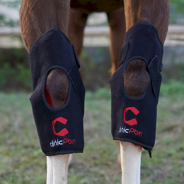 Red Light Therapy Hock Wraps for Horses Legs Boots
