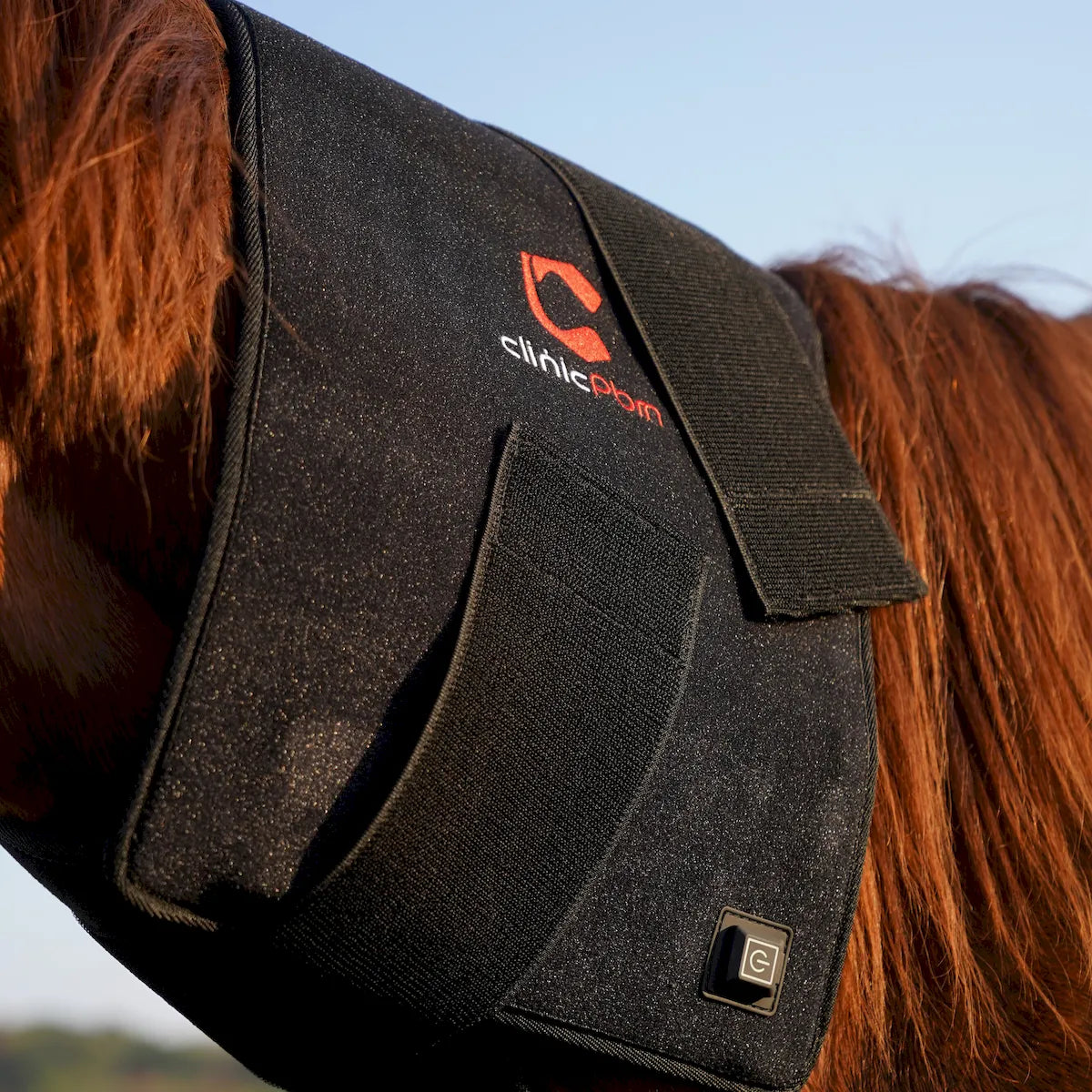 ClinicPBM Red Infrared Light Therapy Wrap for Horses - Size: L