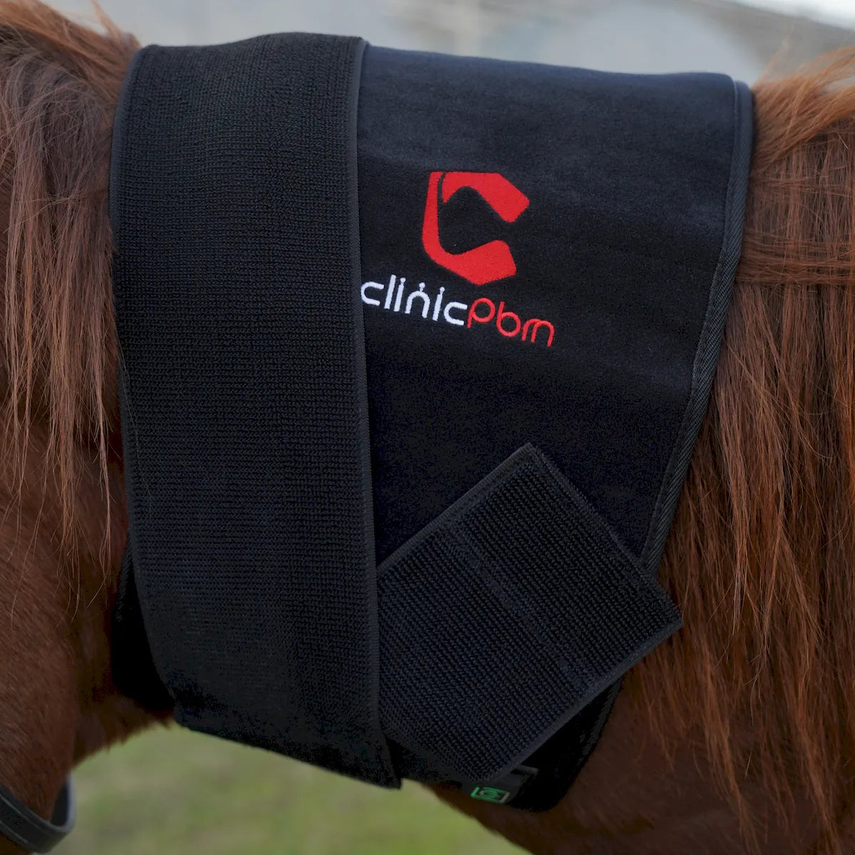ClinicPBM Red Light Therapy Leg / Back/ Neck Wrap for Horses- Size M