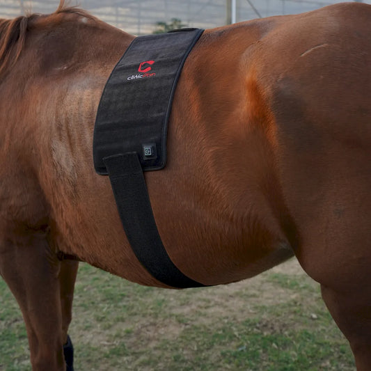 ClinicPBM Red Light Therapy Leg / Back/ Neck Wrap for Horses- Size : S