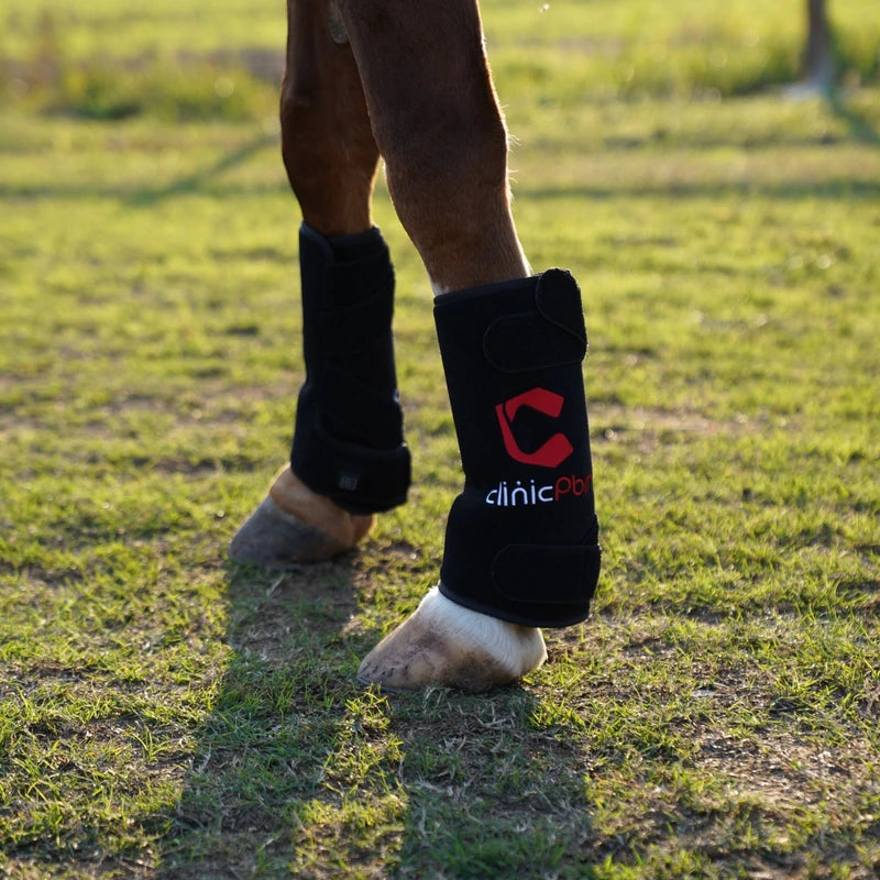 PbmEquine red light therapy leg boot wrapped around a horse's lower leg (cannon), front-facing view in a paddock