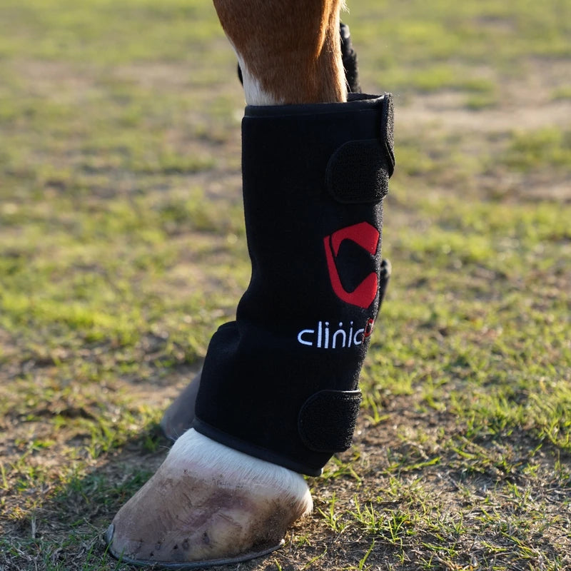 Side view of a PbmEquine red light therapy leg boot covering a horse's cannon bone and fetlock