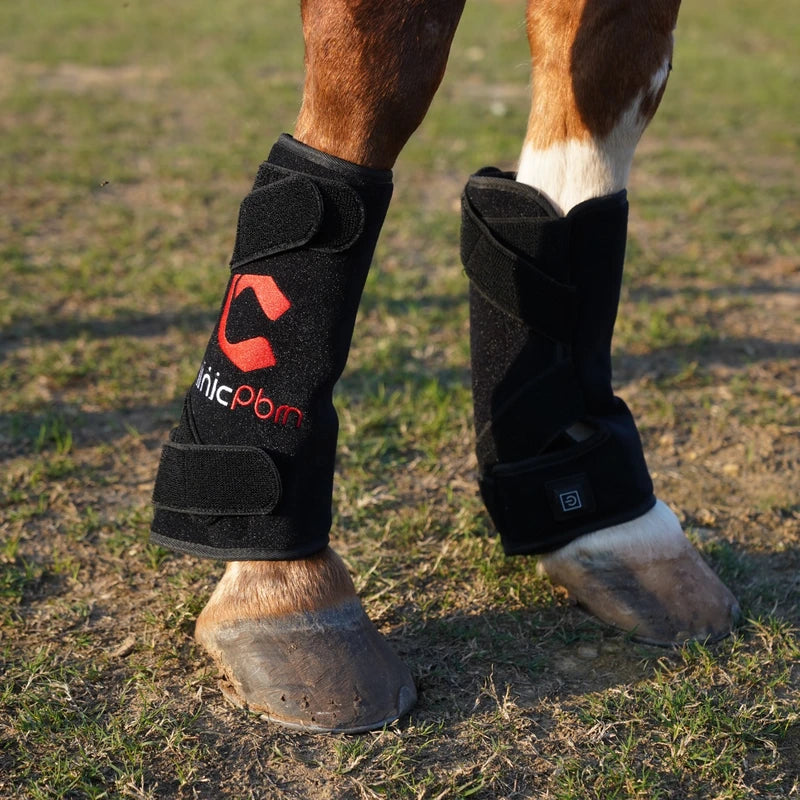 Pair of PbmEquine red light therapy leg boots fitted on a horse's front legs, front view