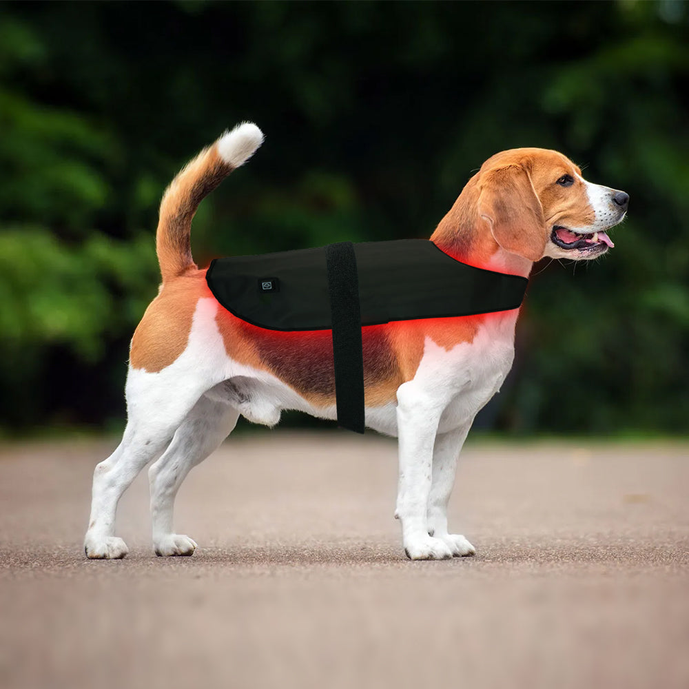 ClinicPBM Dog Cat Red Light Therapy Coat - Size S M L