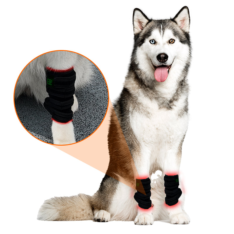 ClinicPBM Dog Leg Red Light Therapy Mat (Built-in Battery)