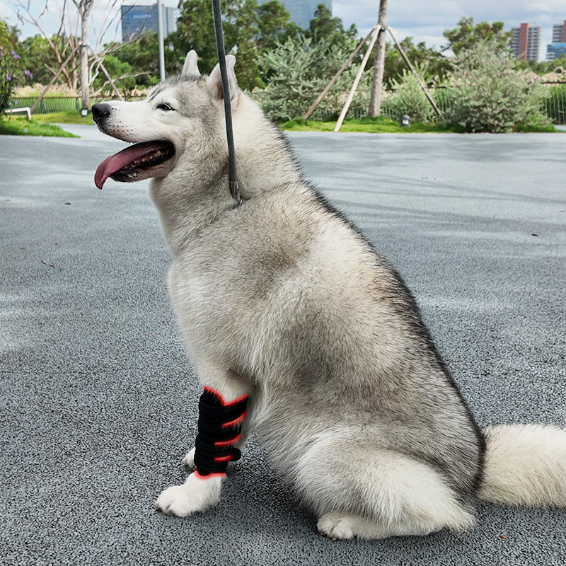 ClinicPBM Dog Leg Red Light Therapy Mat (Built-in Battery)