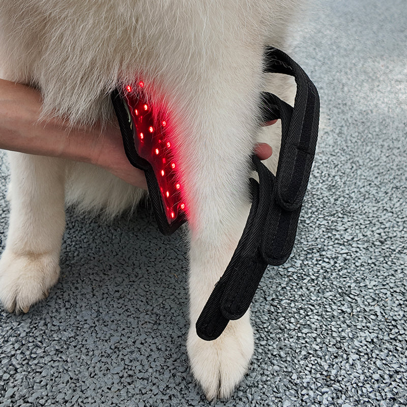 ClinicPBM Dog Leg Red Light Therapy Mat (Built-in Battery)