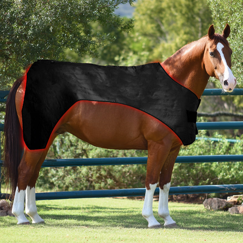 Advanced Full-Body Equine Red Light Therapy Blanket - ClinicPBM