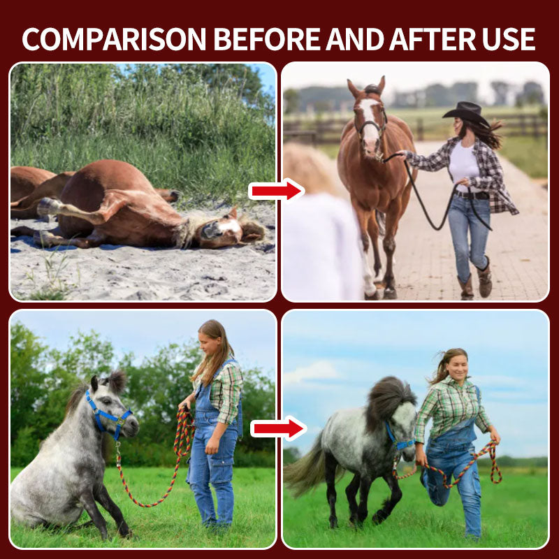 Advanced Full-Body Equine Red Light Therapy Blanket - ClinicPBM